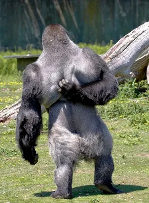 Funny and entertaining pics Screenshot 2