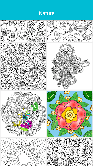 Coloring Pages : Adult Colorin Screenshot 3