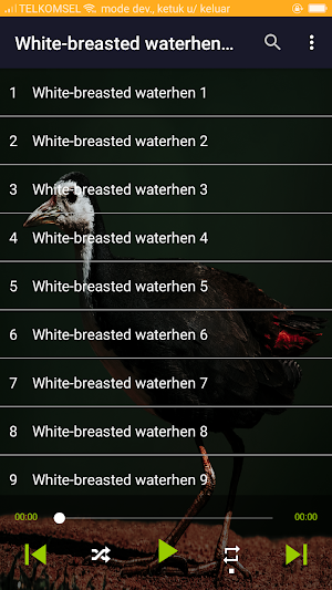 White-Breasted Waterhen Screenshot 0