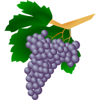 Grape varieties