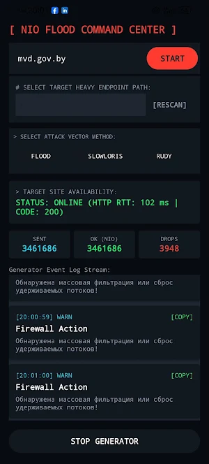 NetProbe: Net Recon & OSINT Screenshot 3