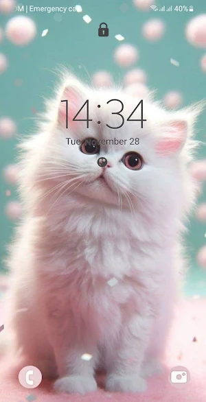Kittens Wallpaper HD Screenshot 0