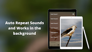 Hawk Sounds Screenshot 2