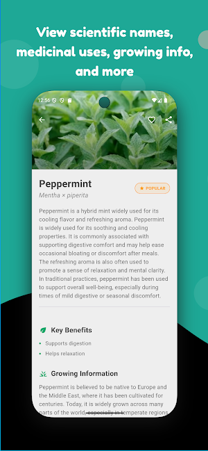 Medicinal Herbs Screenshot 1