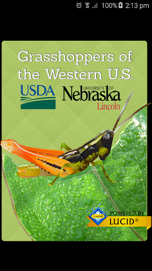 Grasshoppers of the Western US Screenshot 0