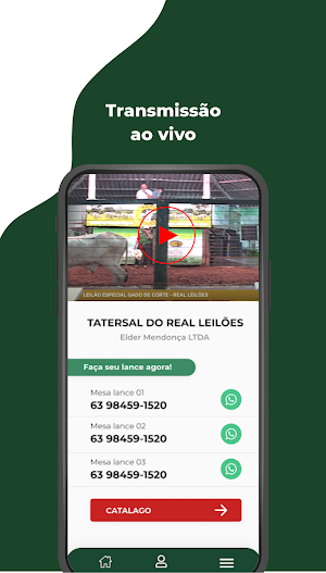 Canal Leilões Screenshot 3