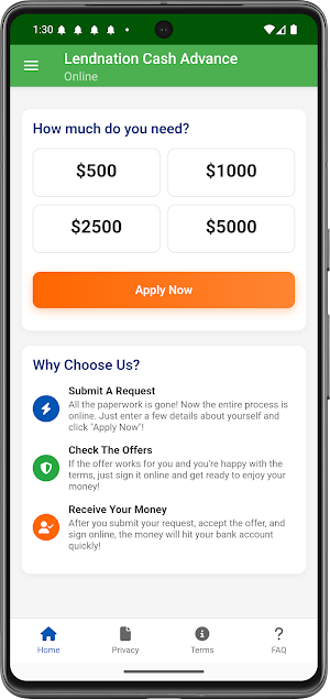 Lendnation Cash Advance Now Screenshot 1