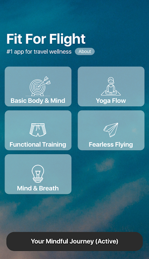 Fit For Flight Screenshot 0