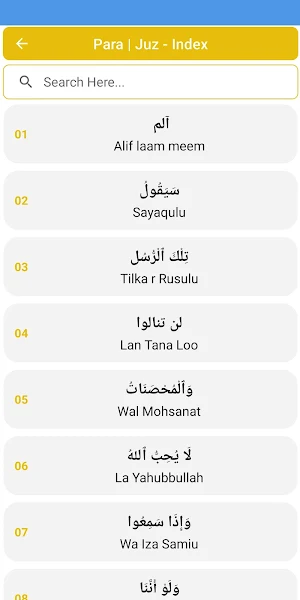 Quran With Urdu Tarjuma Screenshot 2