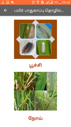 Cane Adviser Tamil Screenshot 3
