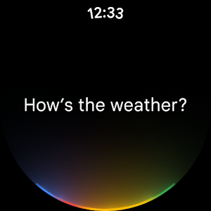 Assistant Screenshot 1