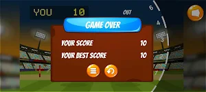 2D Cricket: Play Your Bat Screenshot 3