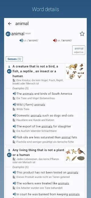 English-German Dictionary Pro Screenshot 0