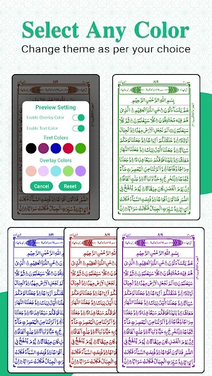 Read Quran Offline AlQuran Screenshot 2
