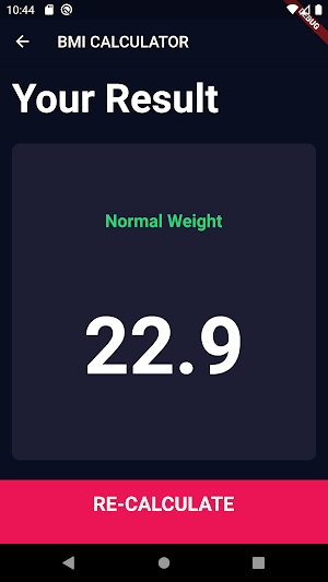 BMI Calculator Screenshot 2