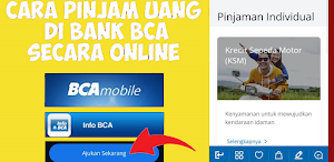 pinjaman bank bca online tips Screenshot 1