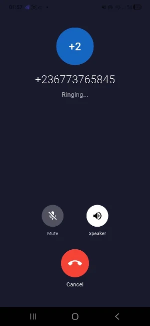 SatHub Voip Screenshot 2