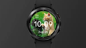 Kittens - Watch Face Screenshot 2