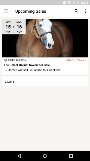 Select Online Horse Sales Screenshot 0