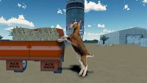 City Goat Rampage Screenshot 3