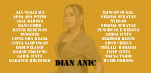 Dian Anic MP3 Offline Screenshot 0