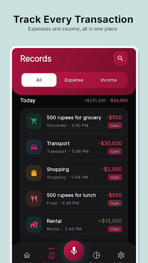 BudgetVoice: Expense Tracker Screenshot 3