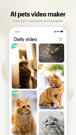 PickFun Screenshot 0