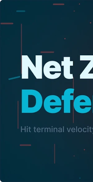 Net Zone Defender Screenshot 0