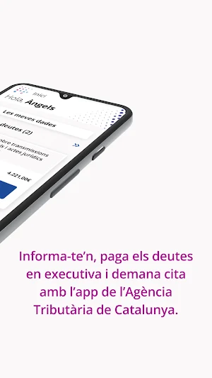 Agència Tributària Catalunya Screenshot 1