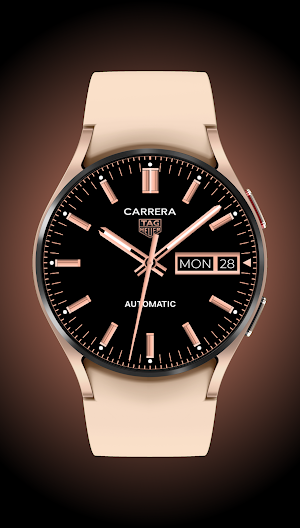 TAG Heuer CARRERA Day-Date Screenshot 3