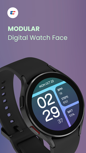 Modular: Digital Watch Face Screenshot 0