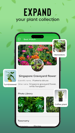 Plant Identifier & Diagnoser Screenshot 2