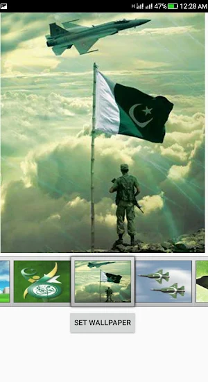 Defence Day Live Wallpaper Screenshot 2