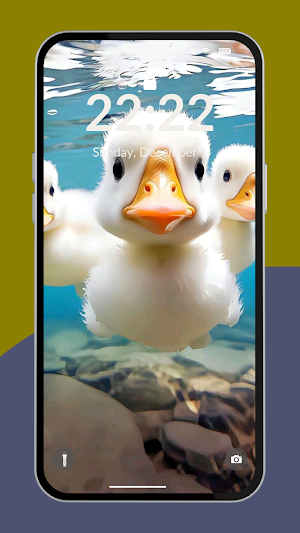 Duck Wallpaper 4K Screenshot 2