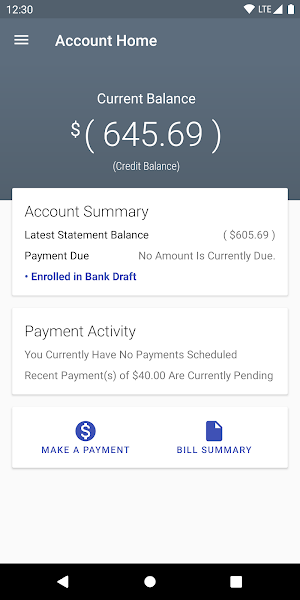 Hopkinsville Electric System Screenshot 0