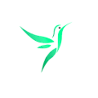 Birds Quiz