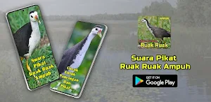 Suara Pikat Ruak Ruak Ampuh Screenshot 0