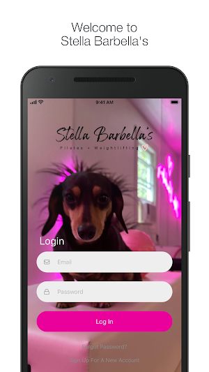 Stella Barbella's Screenshot 0