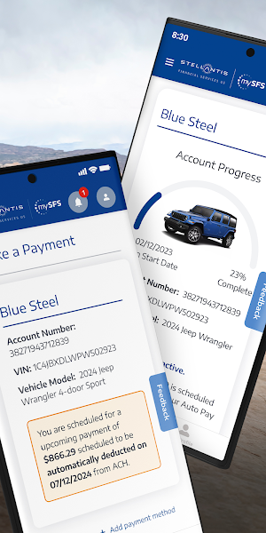 Stellantis Financial Services Screenshot 1