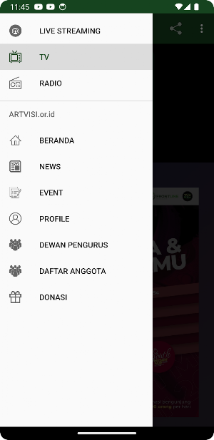 ARTVISI Screenshot 3