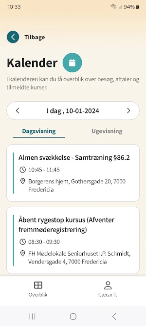 Borgerportalen Screenshot 3