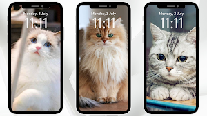 Cat Wallpaper Kawaii Screenshot 1