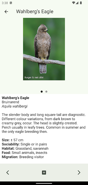 Animals of Kruger Screenshot 2