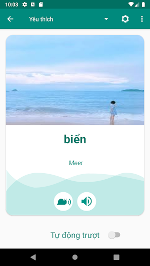 Vietnamese German Dictionary Screenshot 2