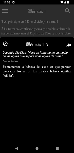 Santa Biblia Straubinger Screenshot 3