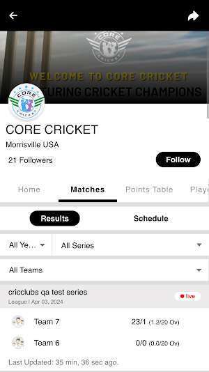 CORE CRICKET Screenshot 1