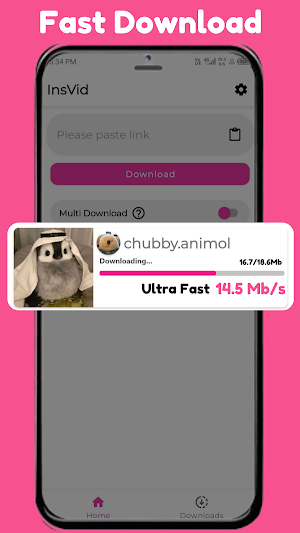 Insvid Video, Story Downloader Screenshot 1