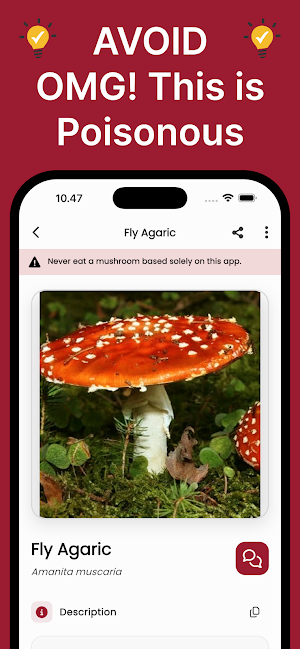 Mushroom ID: AI Identifier Screenshot 1