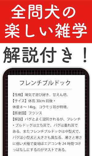犬種クイズ！かわいい写真付き犬図鑑！犬の雑学・常識・知識教養 Screenshot 1