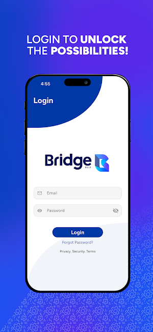 Bridge Bills Screenshot 0